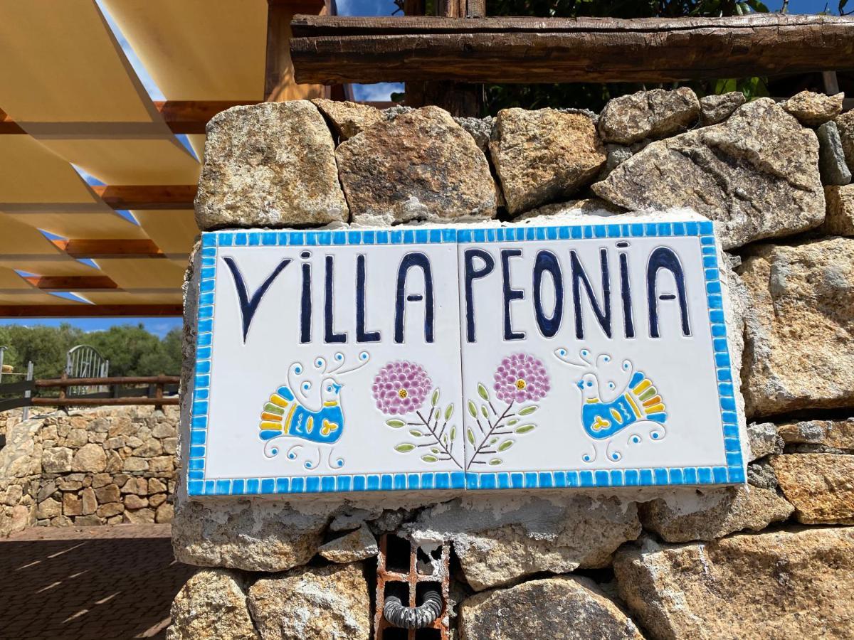 Villa Peonia Budoni Zewnętrze zdjęcie